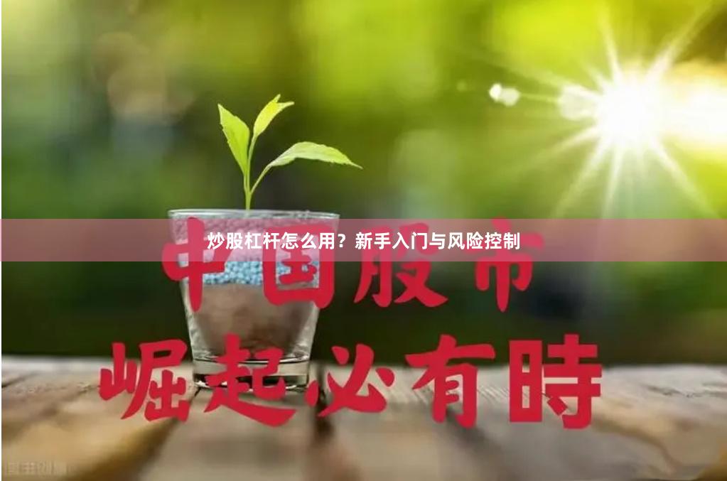 炒股杠杆怎么用？新手入门与风险控制