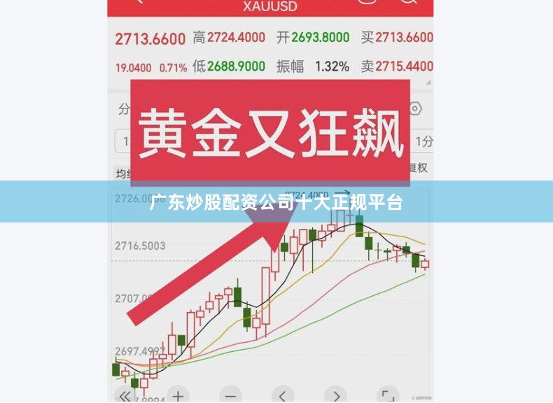 广东炒股配资公司十大正规平台